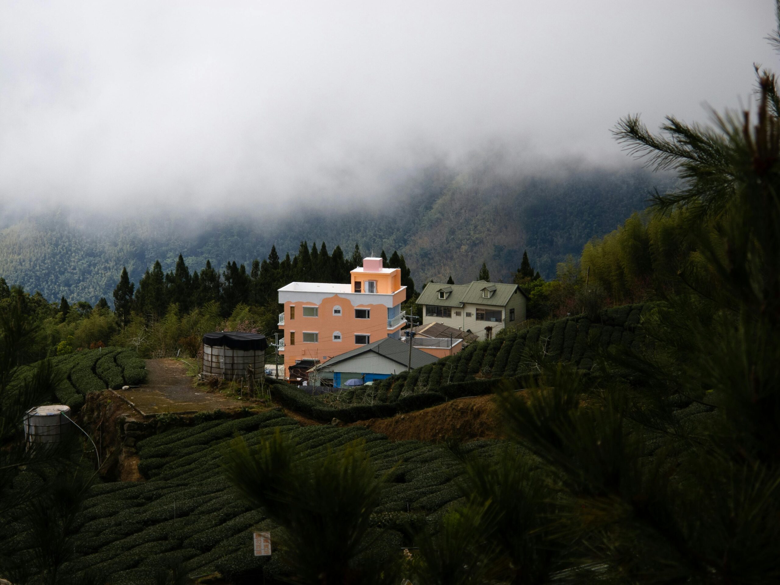 Serene view of a colorful village nestled in misty mountains of Chiayi County, Taiwan.